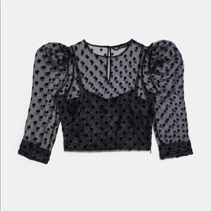 Zara Polka Dot Puff Sleeve Crop Organza Top
